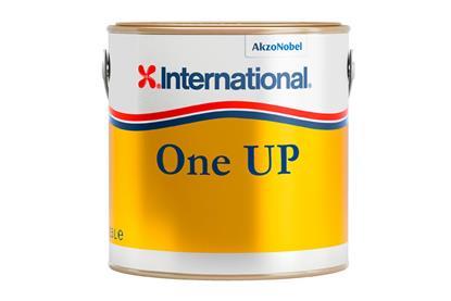 AkzoNobel International Paint 